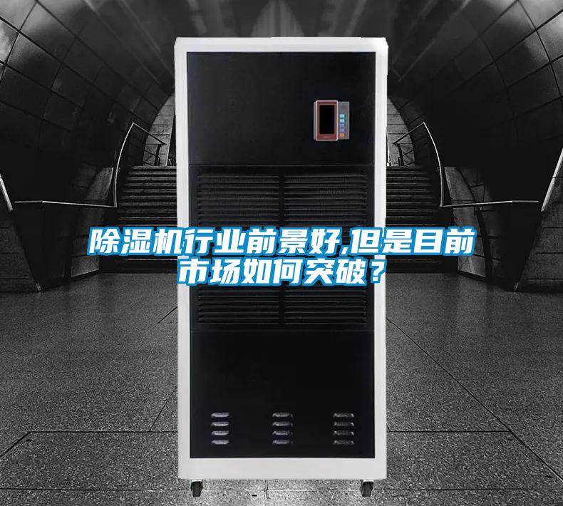 好色先生污污版行业前景好,但是目前市场如何突破？