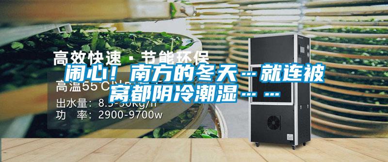 闹心！南方的冬天…就连被窝都阴冷潮湿……