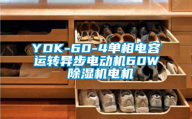 YDK-60-4单相电容运转异步电动机60W 好色先生污污版电机