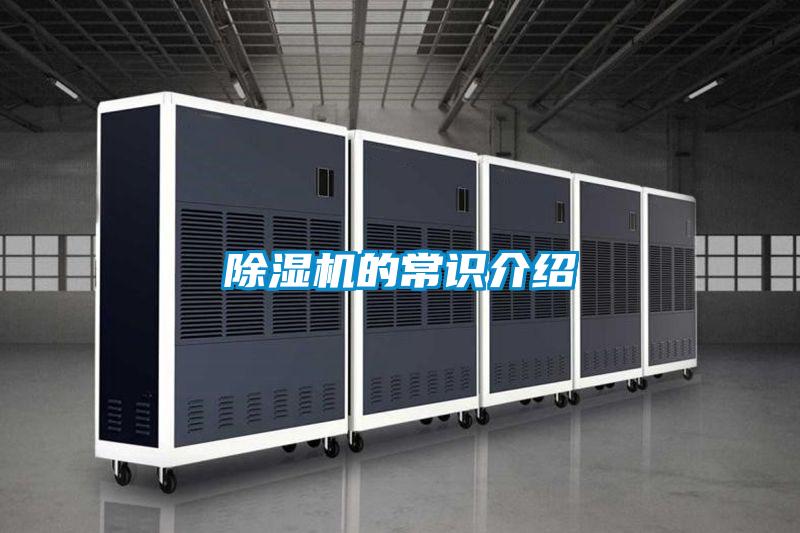 好色先生污污版的常识介绍