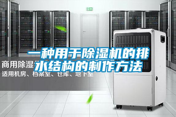 一种用于好色先生污污版的排水结构的制作方法