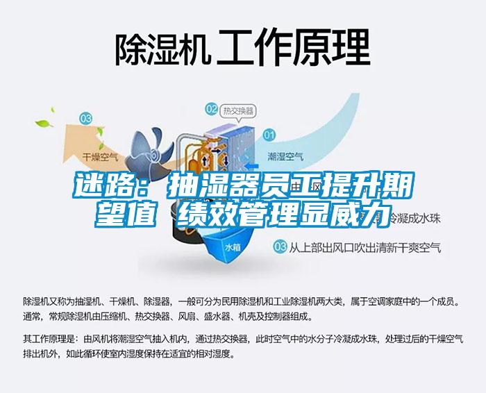 迷路：抽湿器员工提升期望值 绩效管理显威力