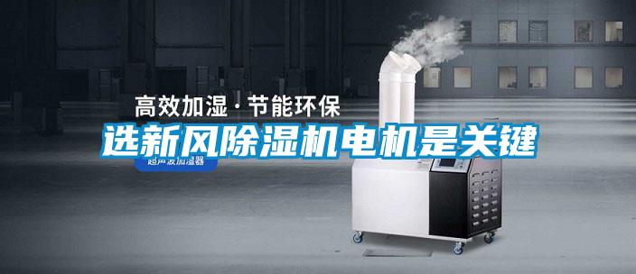 选新风好色先生污污版电机是关键