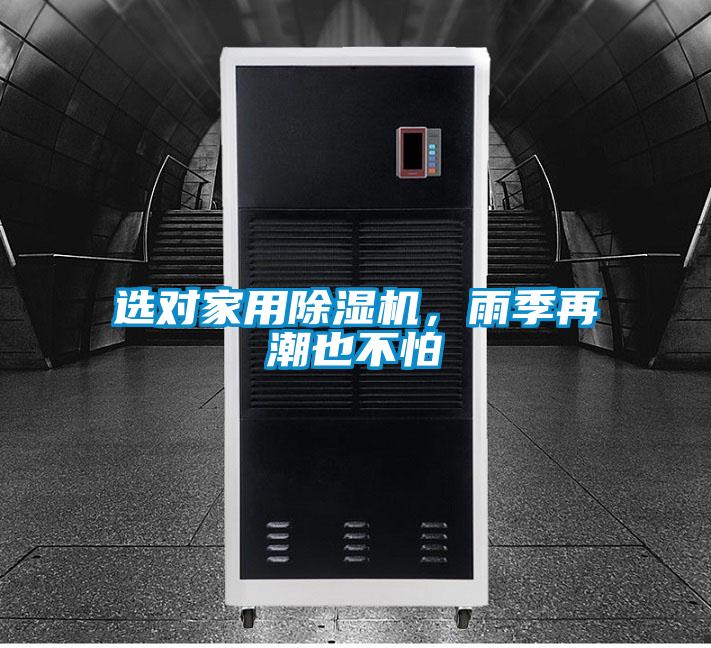 选对家用好色先生污污版，雨季再潮也不怕