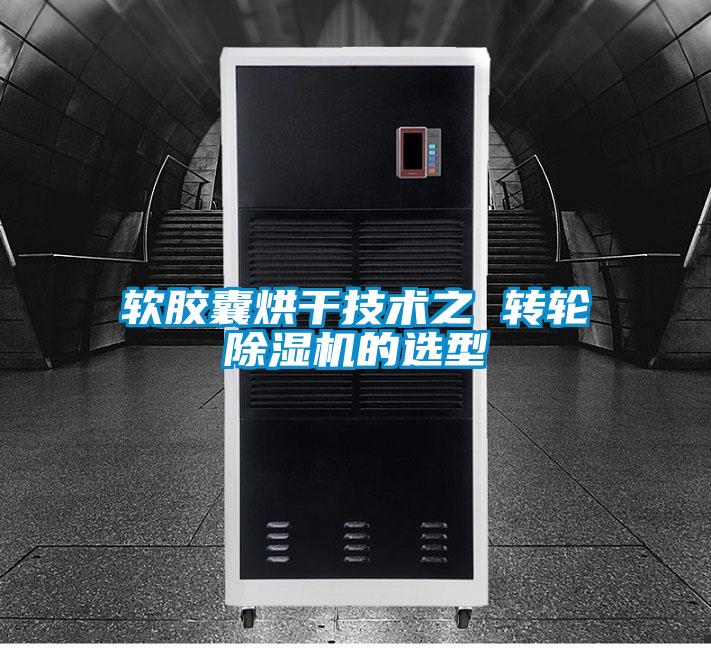 软胶囊烘干技术之 转轮好色先生污污版的选型