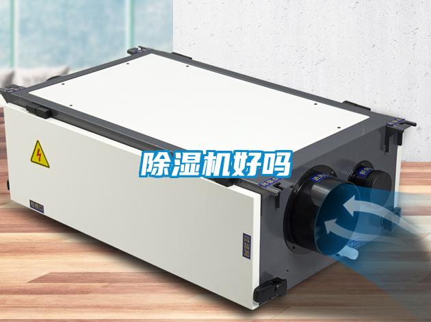 好色先生污污版好吗