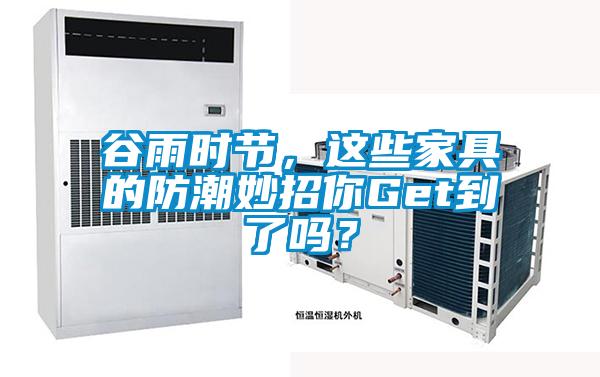 谷雨时节，这些家具的防潮妙招你Get到了吗？