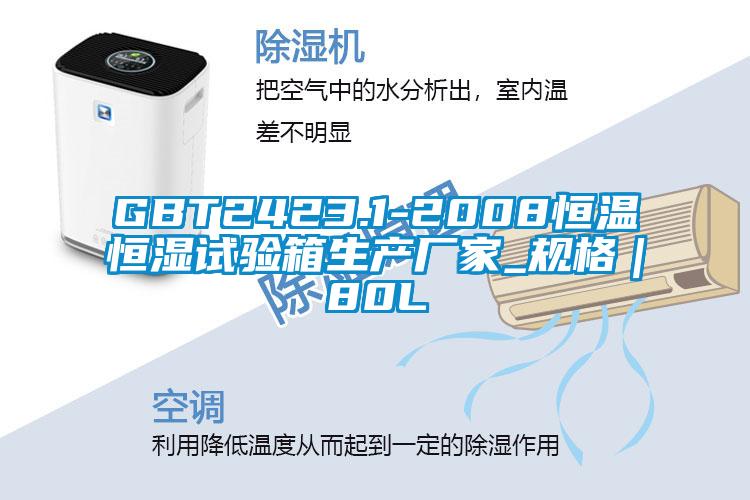 GBT2423.1-2008恒温恒湿试验箱生产厂家_规格|80L