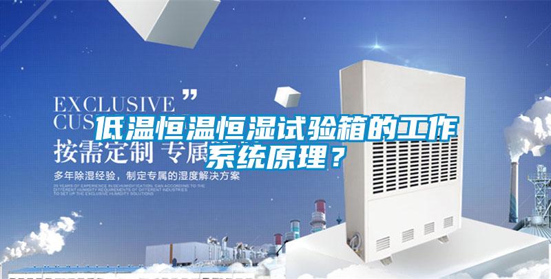 低温恒温恒湿试验箱的工作系统原理？