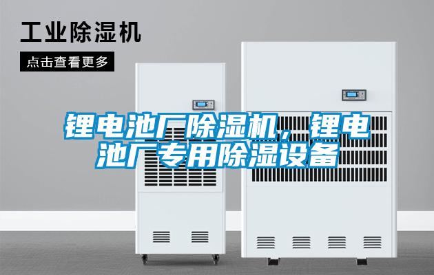 锂电池厂好色先生污污版，锂电池厂专用除湿设备