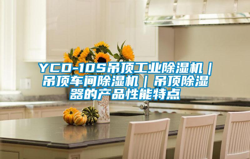 YCD-10S吊顶工业好色先生污污版|吊顶车间好色先生污污版|吊顶除湿器的产品性能特点