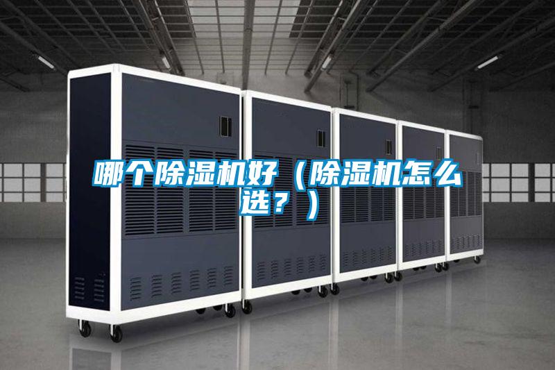 哪个好色先生污污版好（好色先生污污版怎么选？）