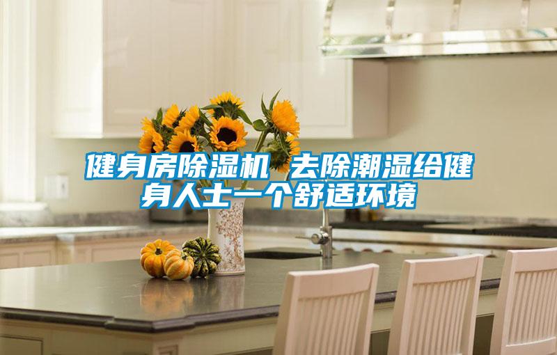 健身房好色先生污污版 去除潮湿给健身人士一个舒适环境