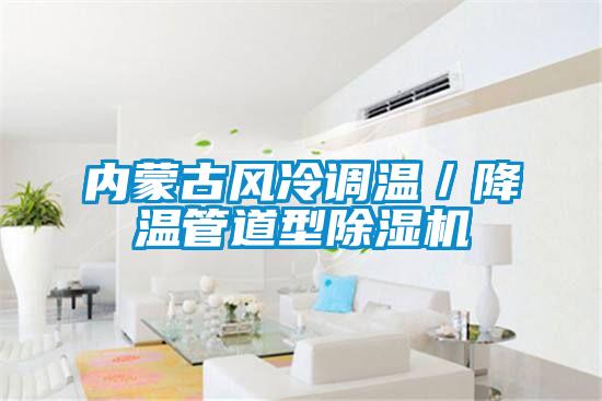 内蒙古风冷调温/降温管道型好色先生污污版