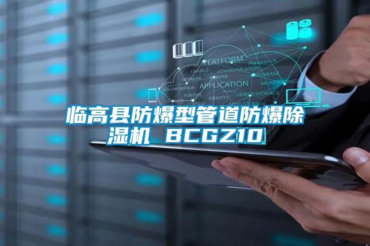 临高县防爆型管道防爆好色先生污污版 BCGZ10