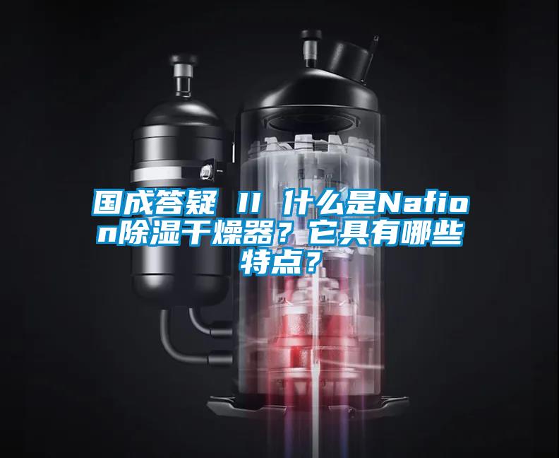 国成答疑 II 什么是Nafion除湿干燥器？它具有哪些特点？