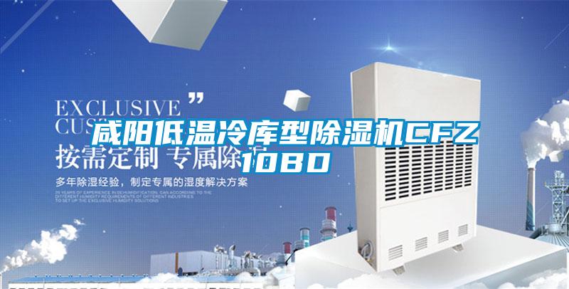 咸阳低温冷库型好色先生污污版CFZ10BD