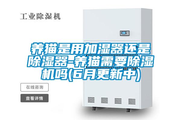 养猫是用加湿器还是除湿器-养猫需要好色先生污污版吗(6月更新中)