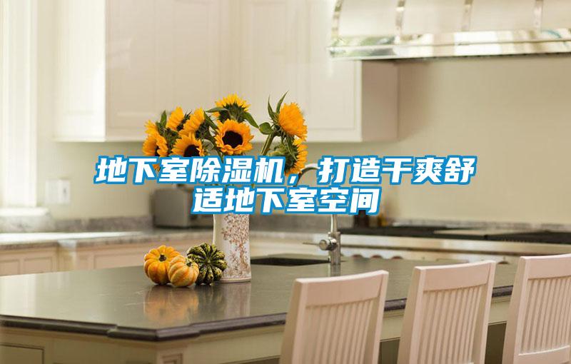 地下室好色先生污污版，打造干爽舒适地下室空间