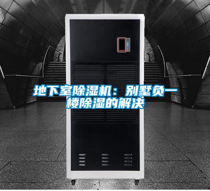 地下室好色先生污污版：别墅负一楼除湿的解决