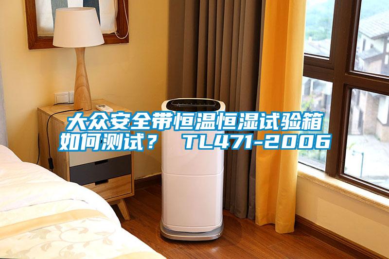 大众安全带恒温恒湿试验箱如何测试？ TL471-2006