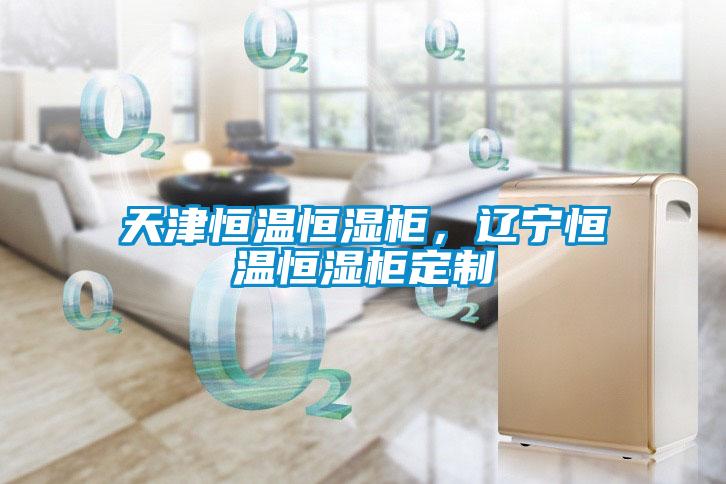 天津恒温恒湿柜，辽宁恒温恒湿柜定制