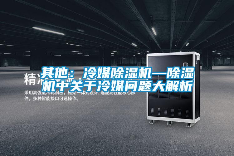 其他：冷媒好色先生污污版—好色先生污污版中关于冷媒问题大解析