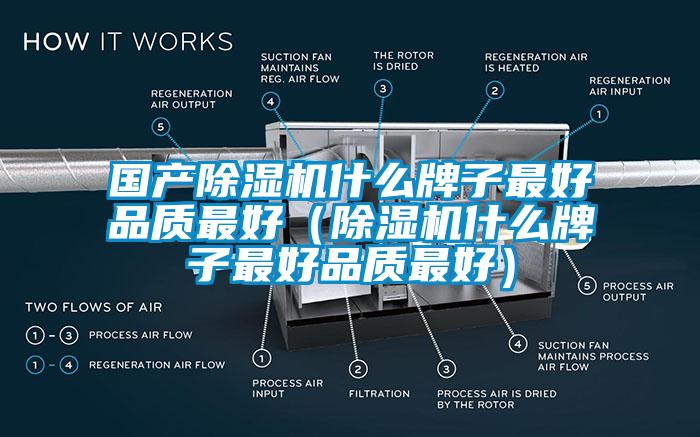国产好色先生污污版什么牌子最好品质最好（好色先生污污版什么牌子最好品质最好）