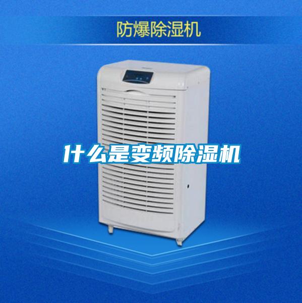 什么是变频好色先生污污版