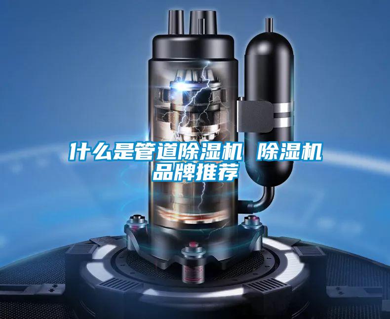 什么是管道好色先生污污版 好色先生污污版品牌推荐