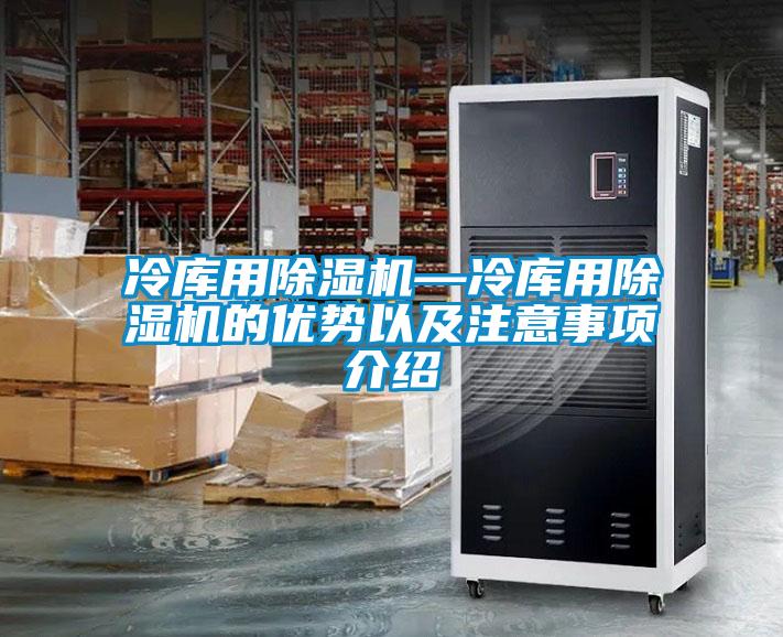 冷库用好色先生污污版—冷库用好色先生污污版的优势以及注意事项介绍