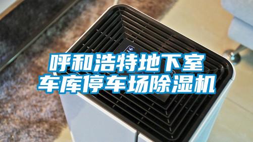 呼和浩特地下室车库停车场好色先生污污版