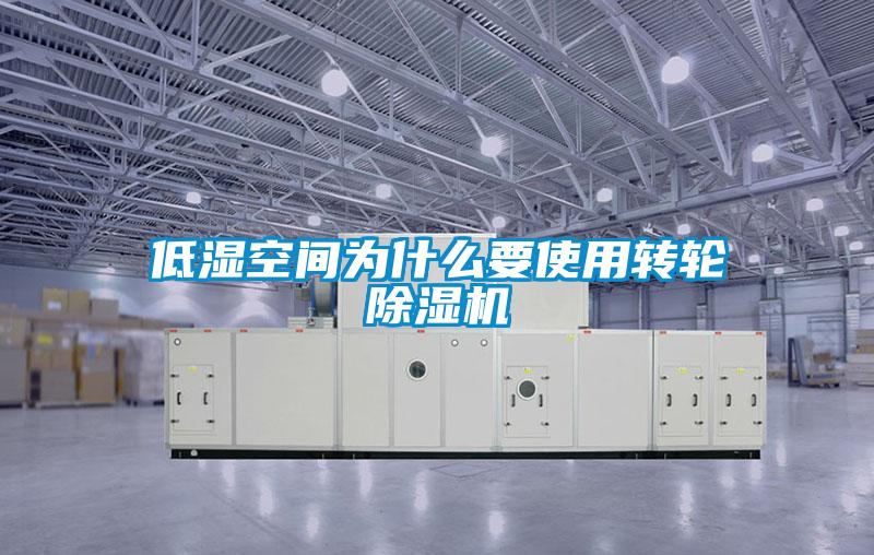 低湿空间为什么要使用转轮好色先生污污版