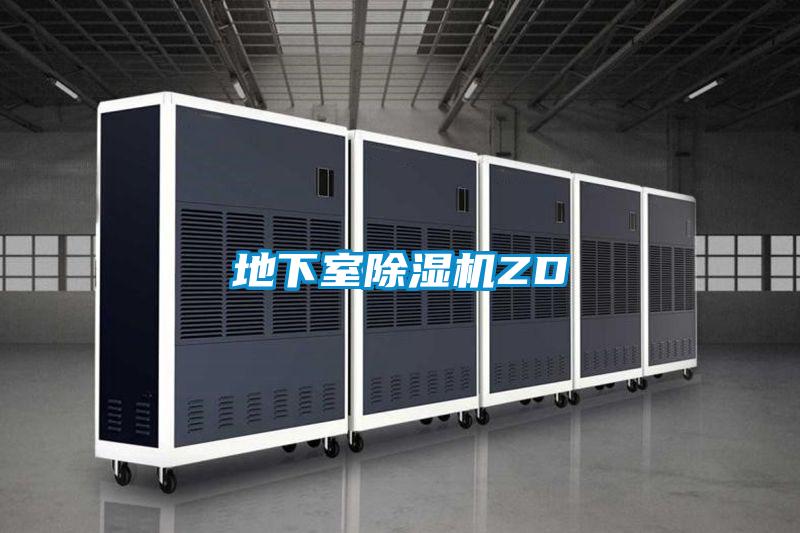 地下室好色先生污污版ZD