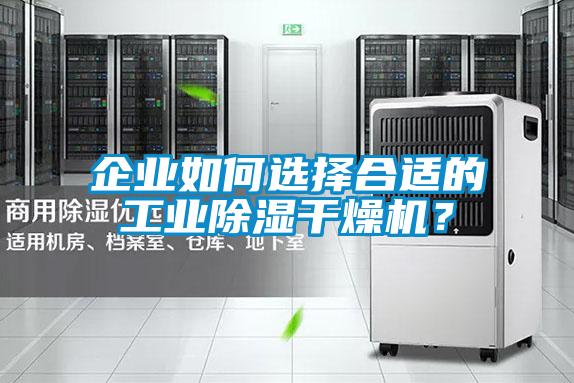 企业如何选择合适的工业除湿干燥机？