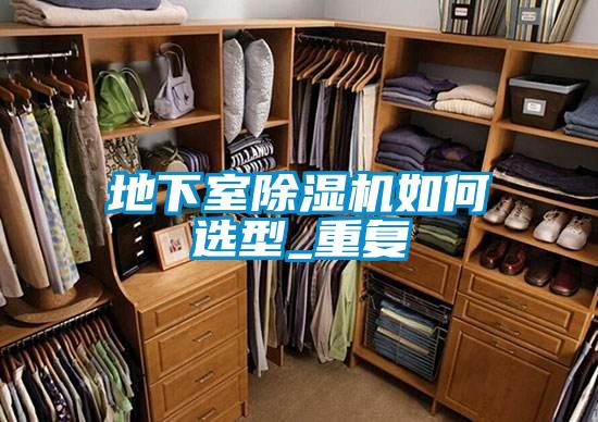 地下室好色先生污污版如何选型_重复