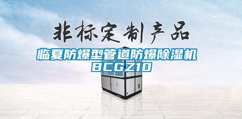 临夏防爆型管道防爆好色先生污污版 BCGZ10