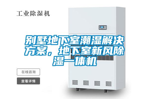 别墅地下室潮湿好色先生TV成人，地下室新风除湿一体机