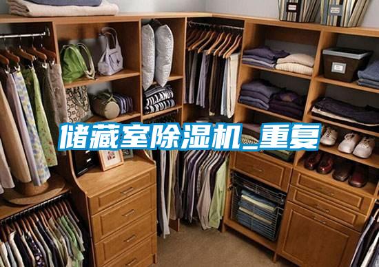 储藏室好色先生污污版_重复