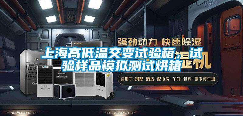 上海高低温交变试验箱，试验样品模拟测试烘箱