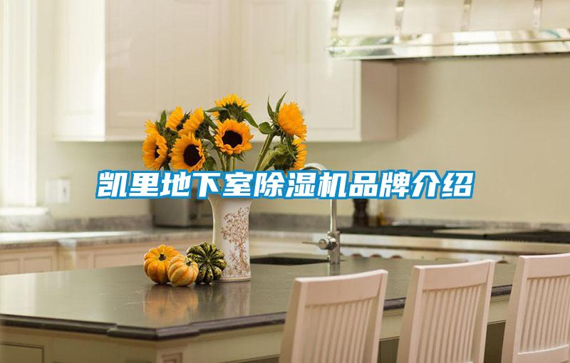 凯里地下室好色先生污污版品牌介绍