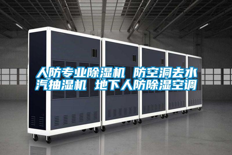 人防专业好色先生污污版 防空洞去水汽抽湿机 地下人防除湿空调