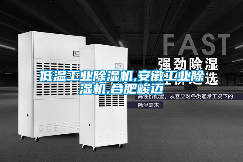 低温工业好色先生污污版,安徽工业好色先生污污版,合肥峻迈