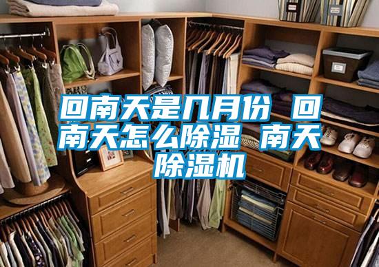 回南天是几月份 回南天怎么除湿 南天 好色先生污污版