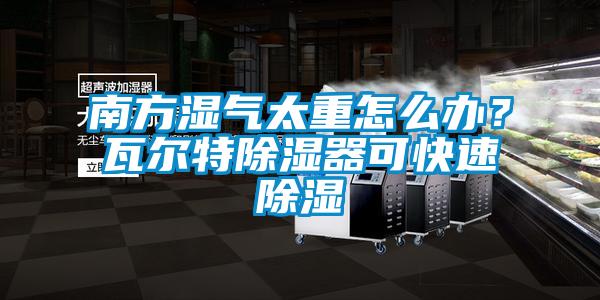 南方湿气太重怎么办？瓦尔特除湿器可快速除湿