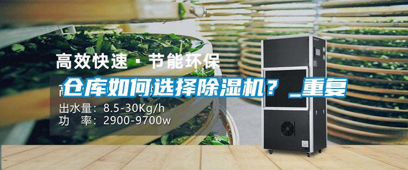 仓库如何选择好色先生污污版？_重复