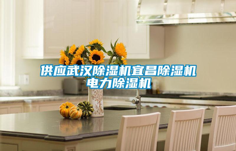 供应武汉好色先生污污版宜昌好色先生污污版电力好色先生污污版