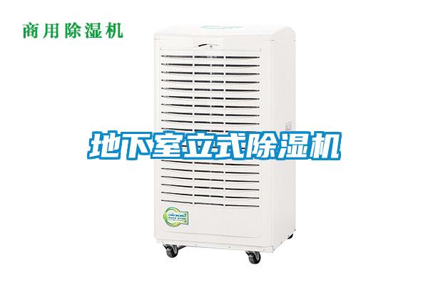 地下室立式好色先生污污版