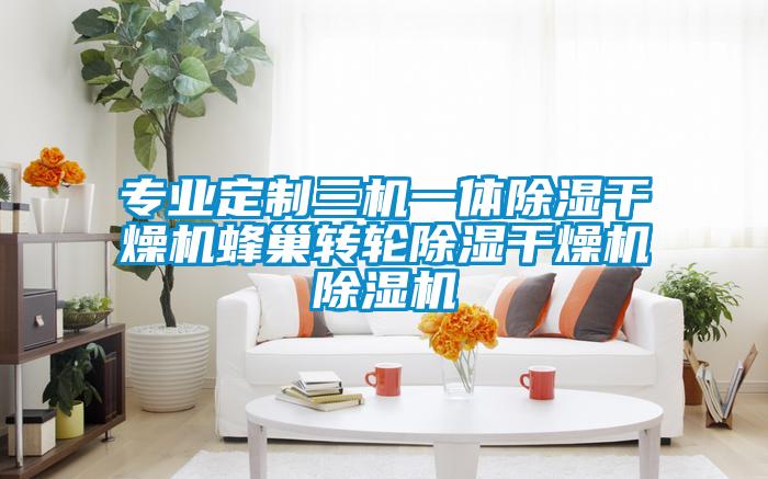 专业定制三机一体除湿干燥机蜂巢转轮除湿干燥机好色先生污污版