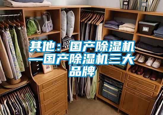 其他：国产好色先生污污版—国产好色先生污污版三大品牌